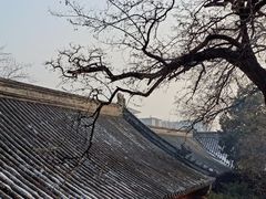 -白云观