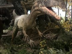 -湖南省地质博物馆