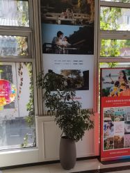 -爱儿美儿童摄影(五路居花园别墅店)