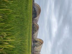 -中国天府农业博览园