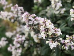 -苏州河梦清园环保主题公园