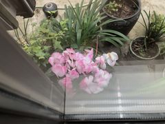 -南堂馆·新川菜(天府三街店)