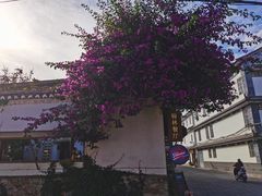 -喜洲翰林餐厅(董家百年老宅店)