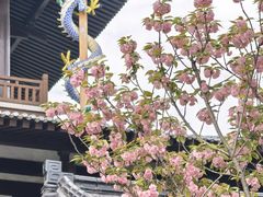 -横店圆明新园