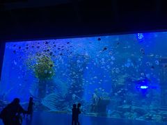 -波塞冬海底世界