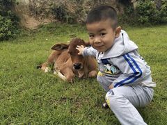 -大姆山草场