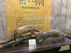 -中山市树木园