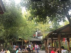 -青城甲(青城山店)