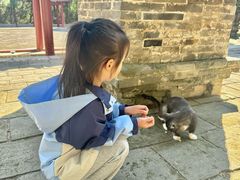 -四门塔风景区