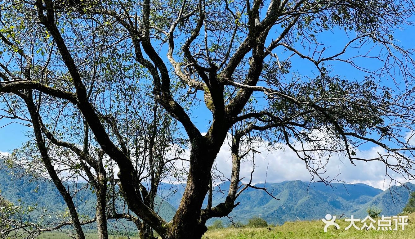 成都周边游｜川内“肯尼亚”风光孟获城