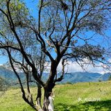 成都周边游｜川内“肯尼亚”风光孟获城