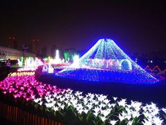 -菊园百果园