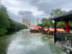 -侨美·唐荔园·40年地道粤菜