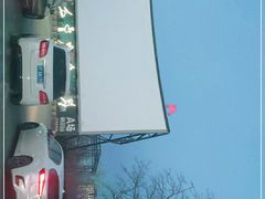 -枫花园汽车电影院(朝阳公园店)