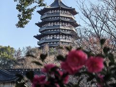 -浙江西子宾馆·牡丹厅