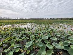 -天津东丽湖风景区