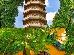 -灵谷景区