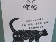 -喵屿·大理花园猫咖