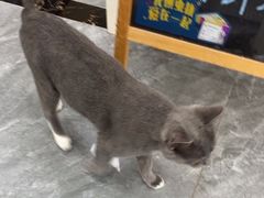 -芭比堂动物医院·CT·微创中心(新顺分院)