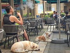 露天位-星巴克(大梅沙8号仓店)