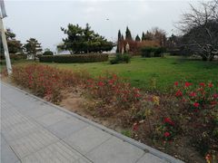 -黑石礁公园