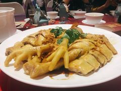 每日鲜活家乡大扇鸡，香醇美味-龙宝轩(坦洲店)