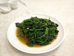 蒜蓉炒番薯叶-巫记鸡饭店