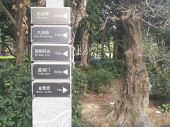 -南宁南湖公园