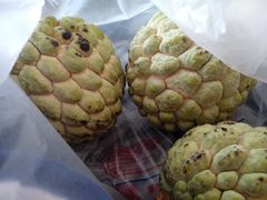 纪念品-大湾区中央湿地公园-十九涌