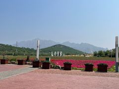 -西海岸生态观光园