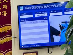 -谐和贝康宠物医院24小时·宠保定点(急重症转诊中心)