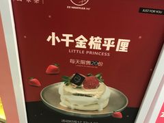 -狐狸和向日葵(北京路店)