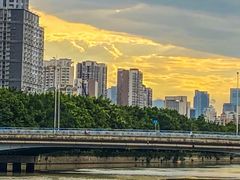 -光明港公园