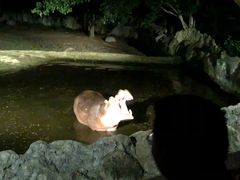 -清迈夜间动物园