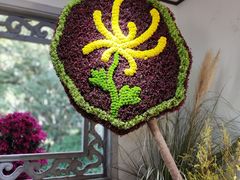 -杭州植物园