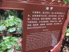 -赤水丹霞旅游区·佛光岩