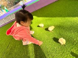 -萌宠亲子动物乐园(槐房万达店)