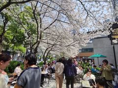 -玛格萝妮比萨屋(四平店)