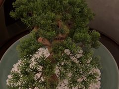 -百富源·海鲜辽菜(张士店)