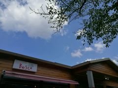 披萨店-汉拿树木园