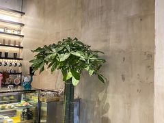 -熙阁咖啡Segnal(时代中心店)