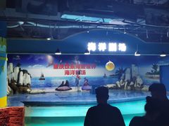 -重庆欢乐海底世界