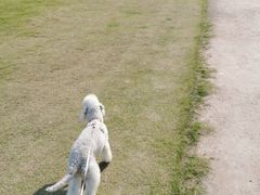 -杭州城北体育公园