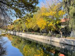 -元大都城垣遗址公园