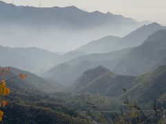 -大岭沟猕猴桃谷风景区