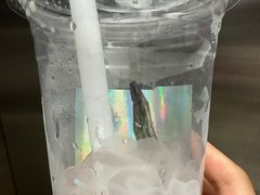 -TD66高山铁皮石斛养生茶饮