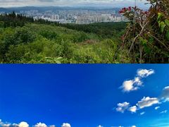 -长虫山生态公园风景林
