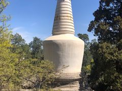 -大觉寺-停车场