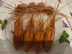 -南麓·浙里(外滩店)