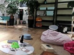 -东方名猫馆·英短金渐层布偶猫舍(环线广场1号楼店)